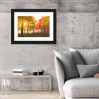 Foggy Autumn Forest Wall Art