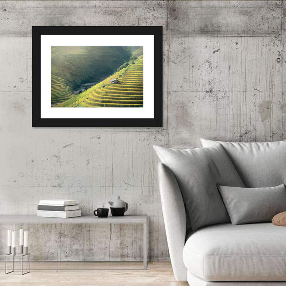Golden Rice Terraces Wall Art