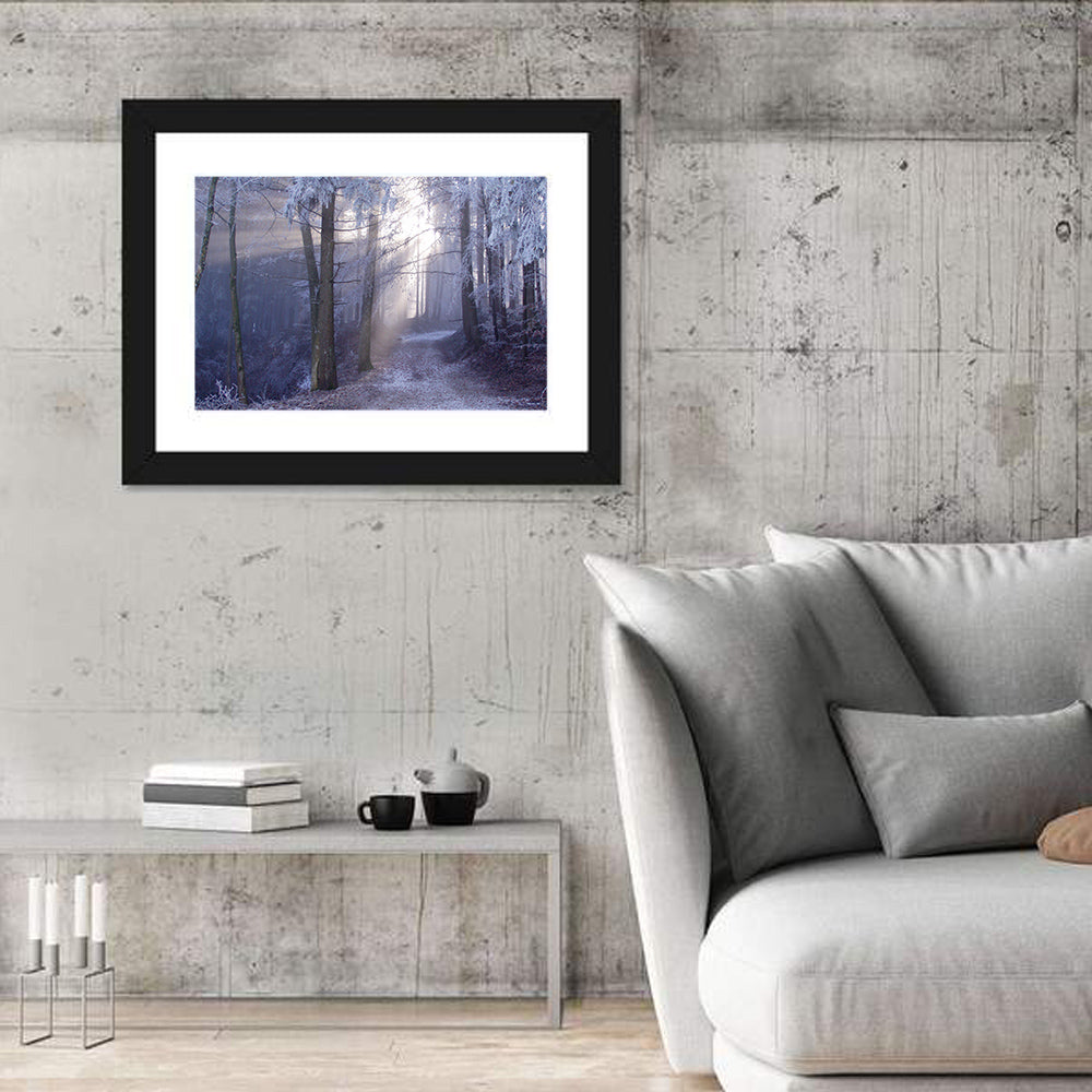 Frosted Forest Path at Dawn Wall Art in a room, landscape