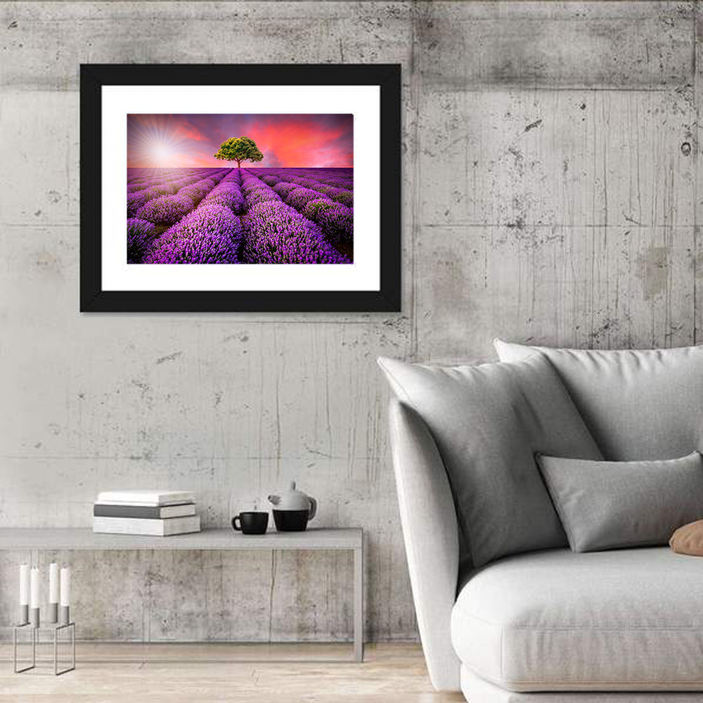 Sunset Over Lavender Fields Wall Art in a room, landscape