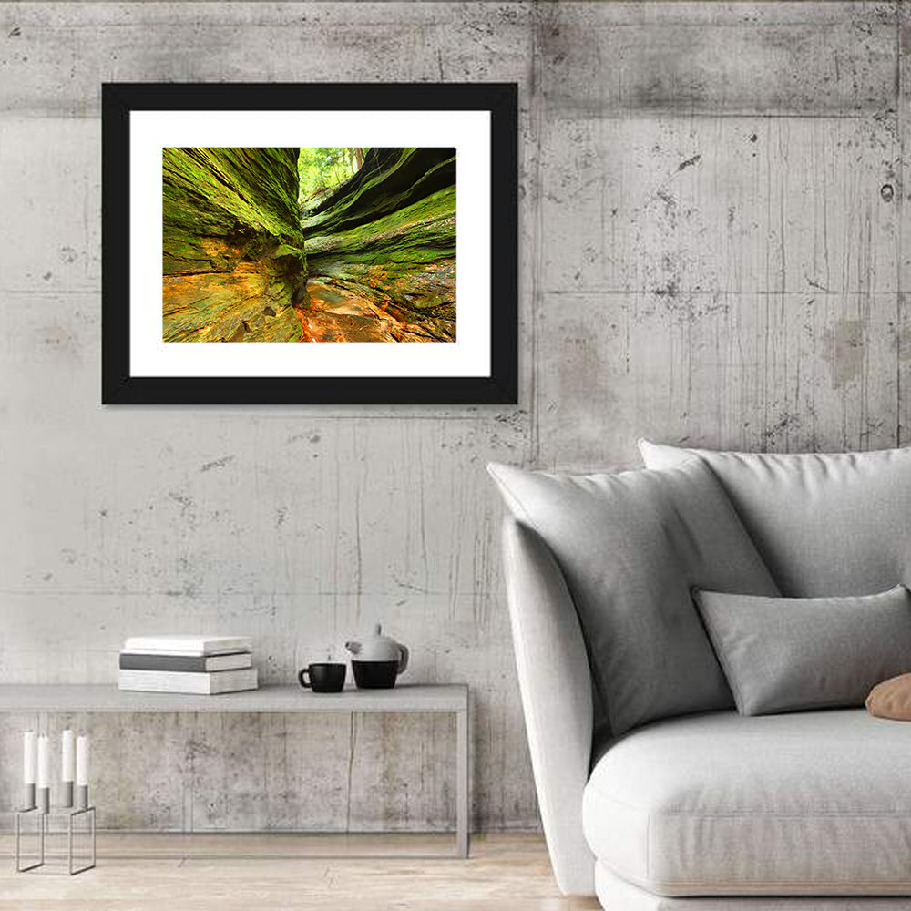 Turkey Run State Park Canyon Wall Art in a room, landscape