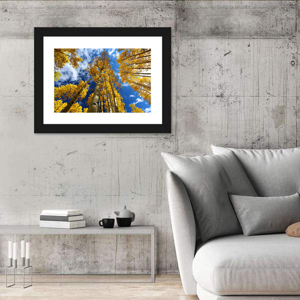 Golden Aspen Canopy View Wall Art