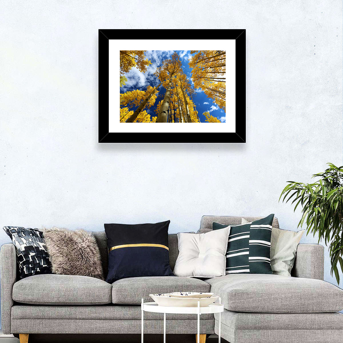 Golden Aspen Canopy View Wall Art