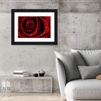 Red Rose with Dew Drops Wall Art