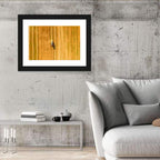 Aerial Wheat Harvest Wall Art