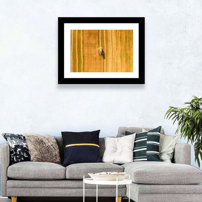 Wheat Field Harvesting Wall Art