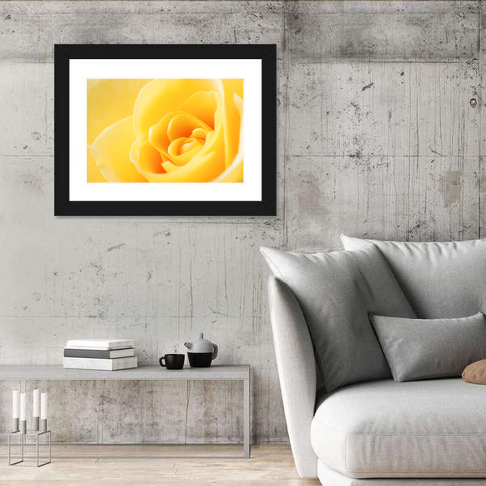 Soft-lit Yellow Rose Close-up Wall Art in a room, landscape