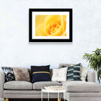 Soft-lit Yellow Rose Close-up Wall Art