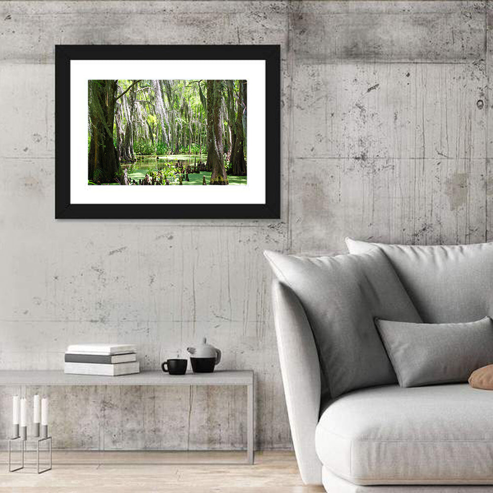 Louisiana Cypress Swamp Wall Art
