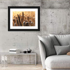Arizona Skyscrapers at Golden Hour Wall Art