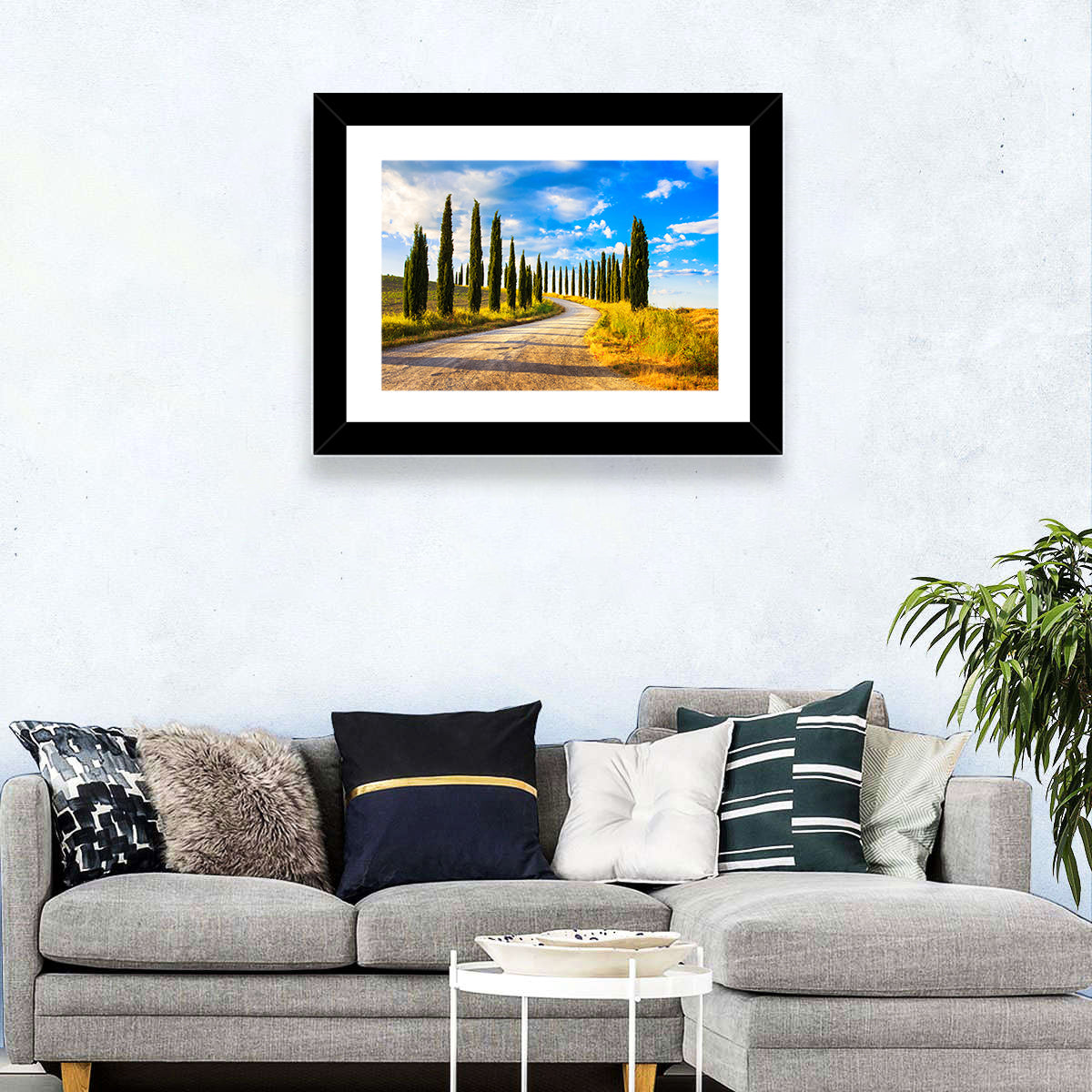 Sunlit Tuscany Cypress Road Wall Art in a room, landscape