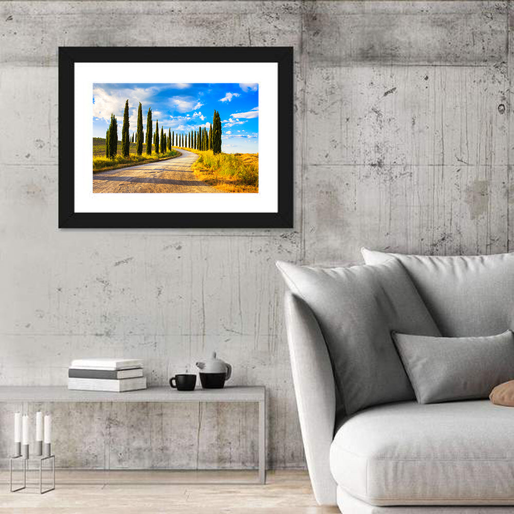 Sunlit Tuscany Cypress Road Wall Art in a room, landscape
