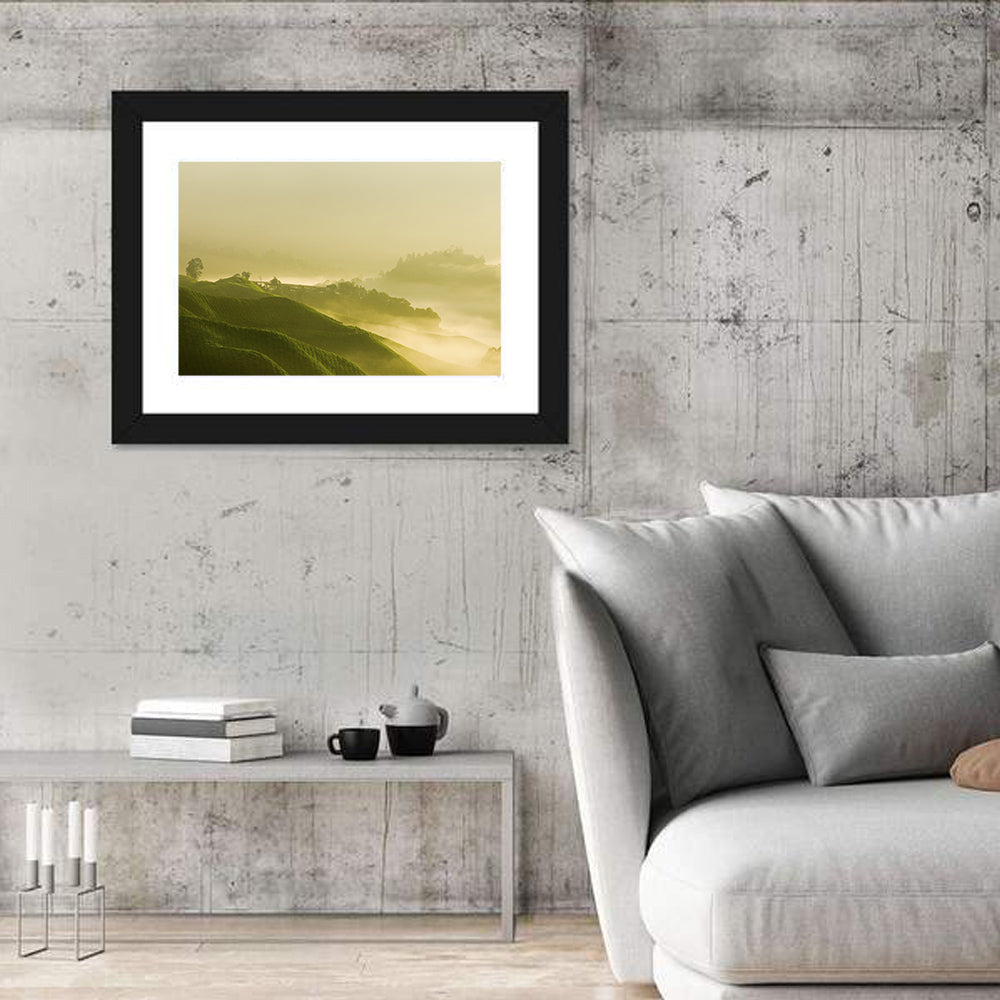 Tea Plantation Morning Mist Wall Art