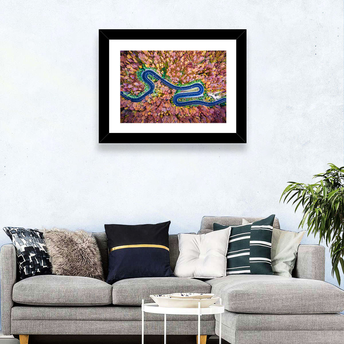 Aerial Winding Road Wall Art