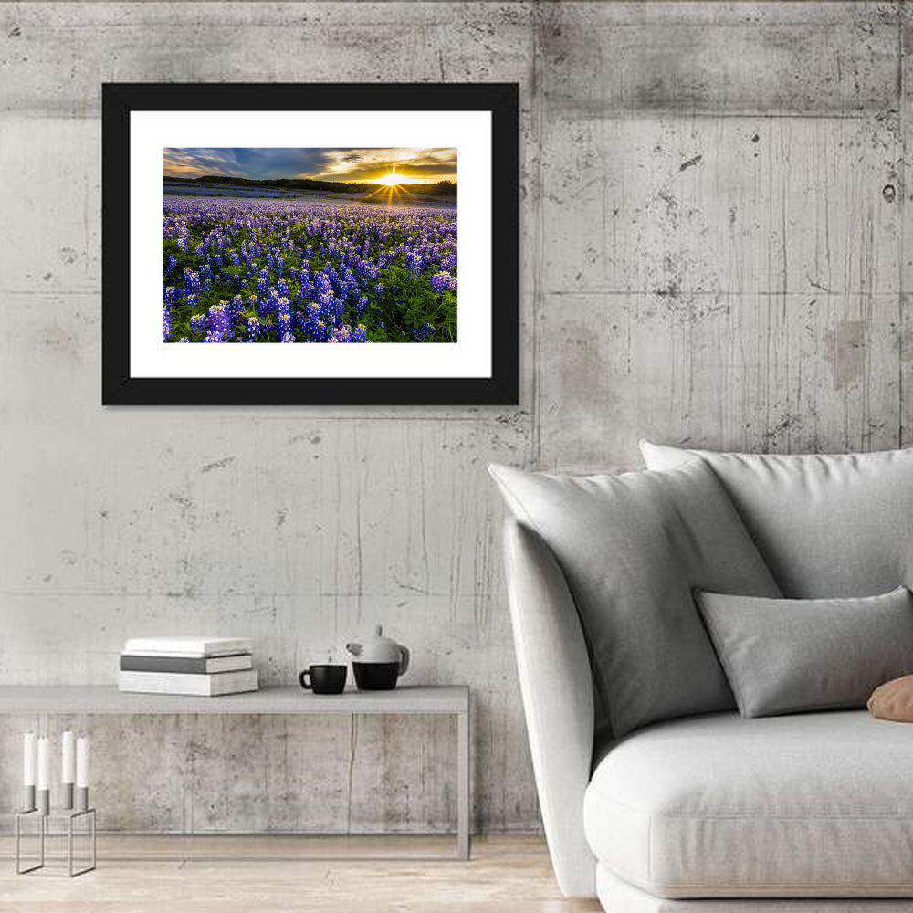 Texas Bluebonnet Field at Sunset Wall Art in a room, landscape