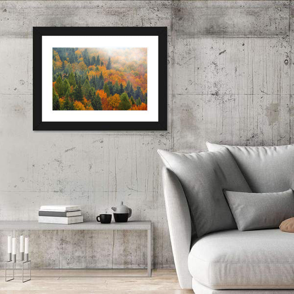 Misty Autumn Forestscape Wall Art in a room, landscape