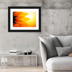 Backlit Sunflower Petals Wall Art