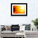 Backlit Sunflower Petals Wall Art