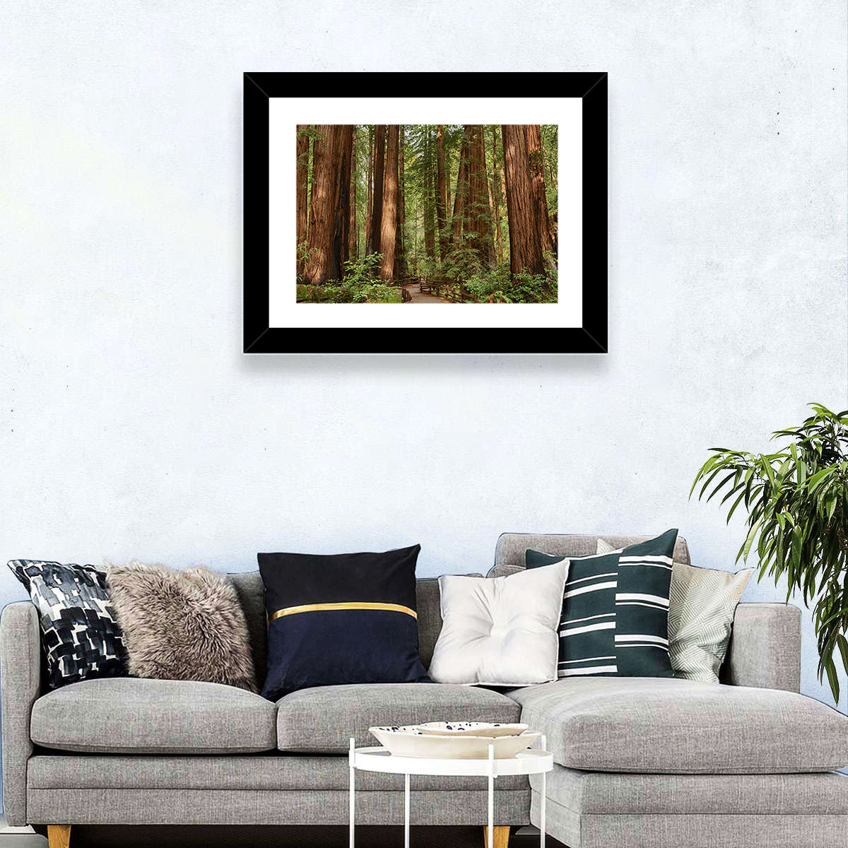 Muir Woods Redwood Trail Wall Art in a room, landscape