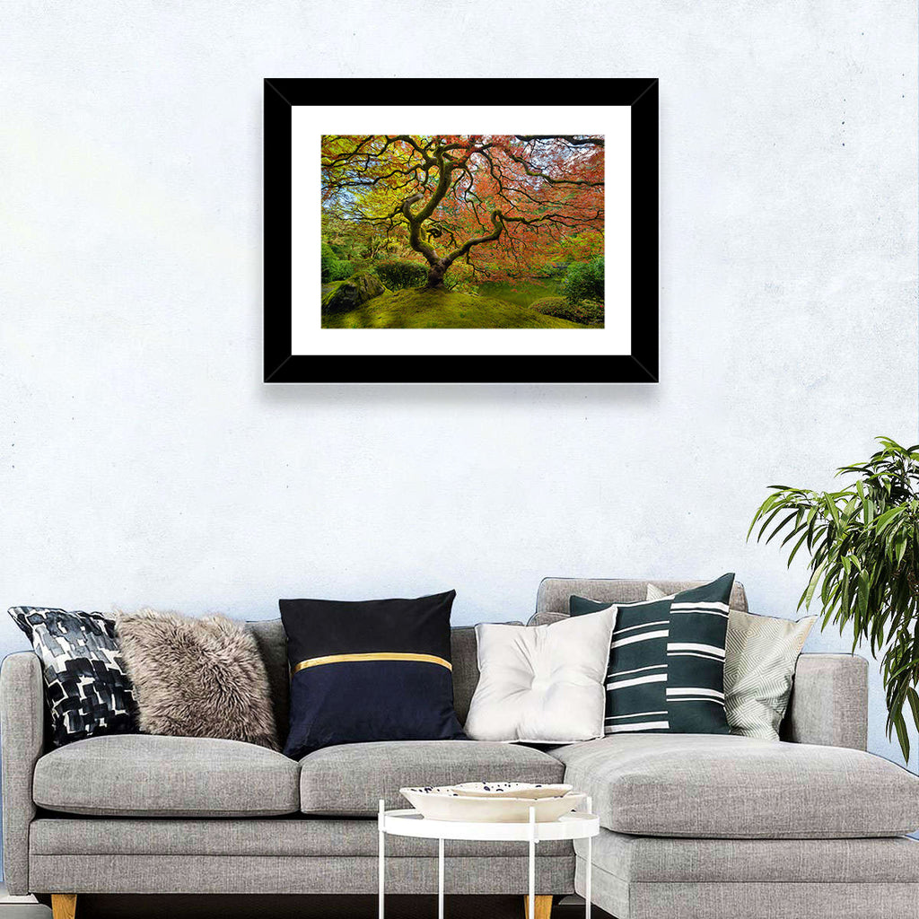 Gnarled Japanese Maple by Garden Pond Wall Art