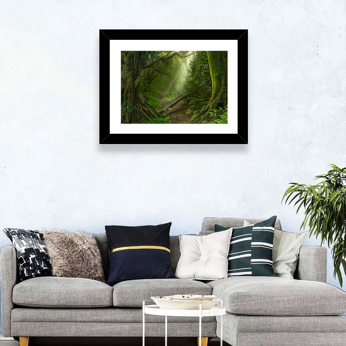 Moss-covered Rainforest Path Wall Art