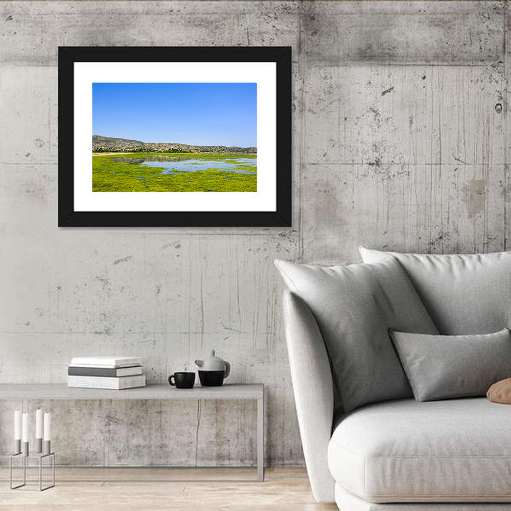 Uchali Lake Algae Reflection Wall Art
