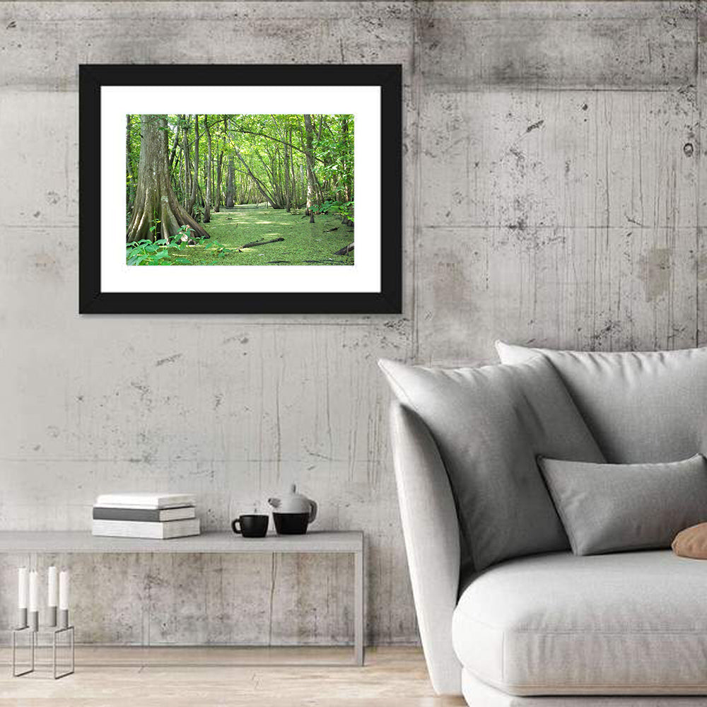 Summer Cypress Bayou, Louisiana Wall Art