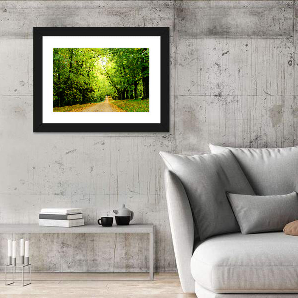 Sunlit Forest Pathway Wall Art