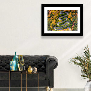 Winding Forest Road Wall Art