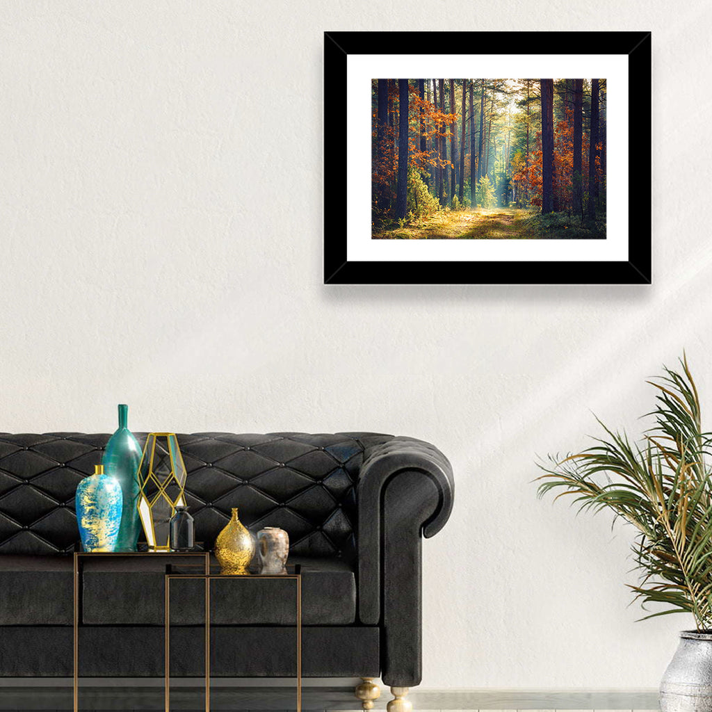 Sunlit Autumn Pine Forest Wall Art