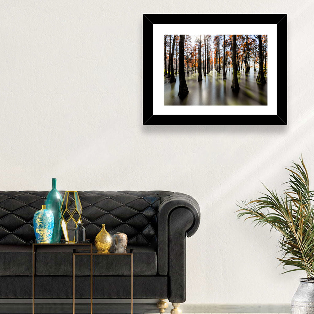 Autumn Flooded Cypress Forest Wall Art
