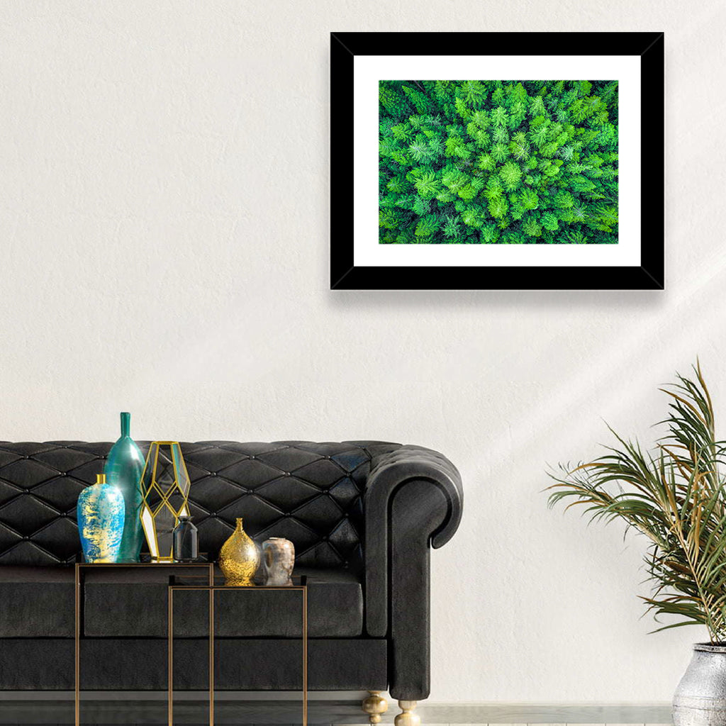 Whakarewarewa Forest Canopy Wall Art