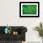 Whakarewarewa Forest Canopy Wall Art