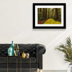 Yellow Brick Path Through Redwoods Wall Art