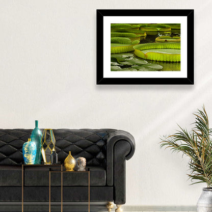 Giant Water Lilies Wall Art
