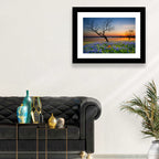 Texas Bluebonnet Sunset Wall Art