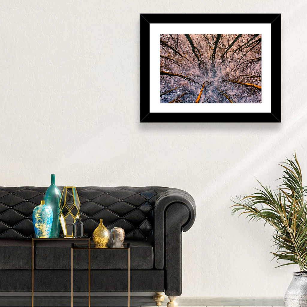 Misty Forest Canopy Wall Art