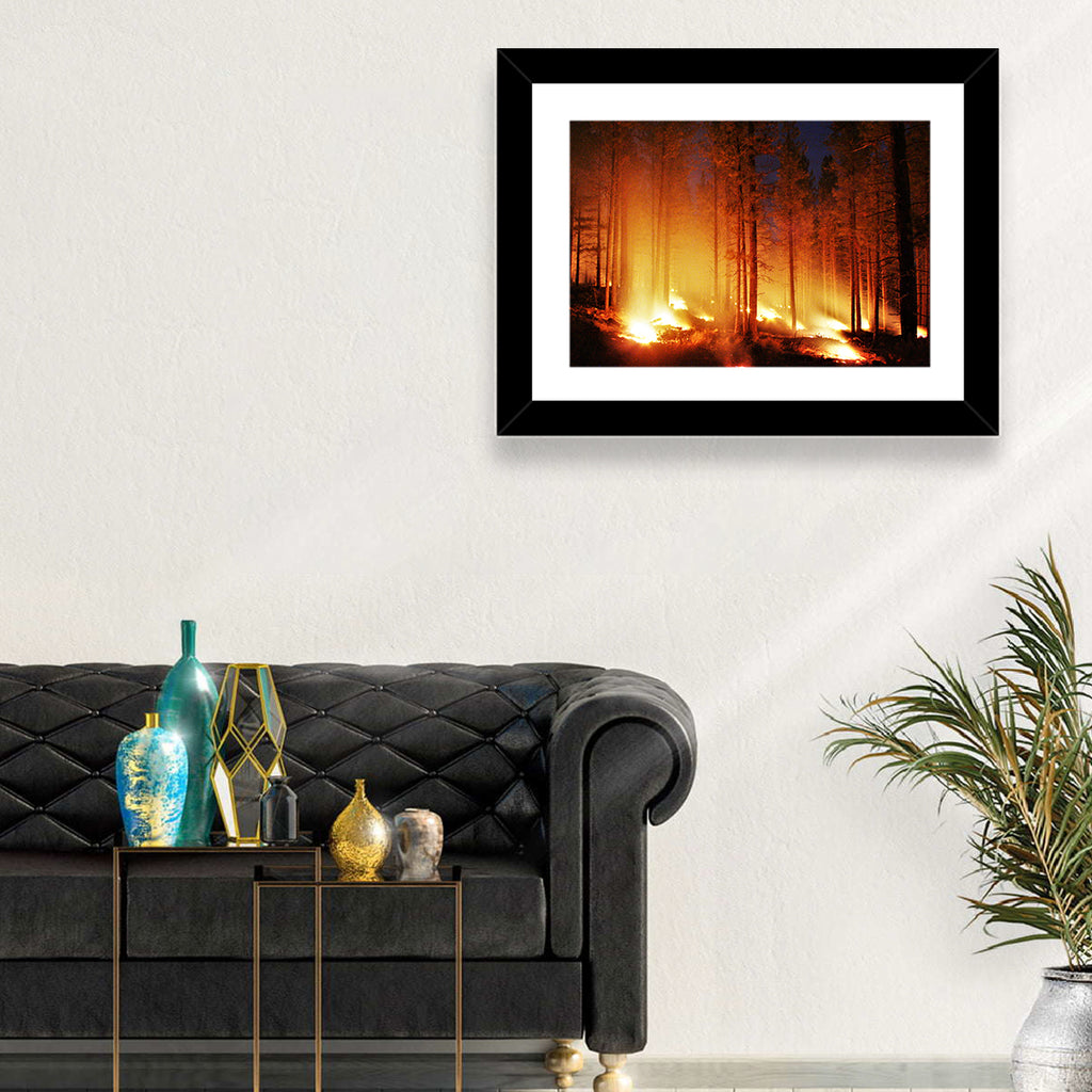 Night Forest Fire Wall Art