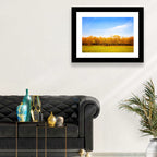 Autumn Forest Meadow Wall Art
