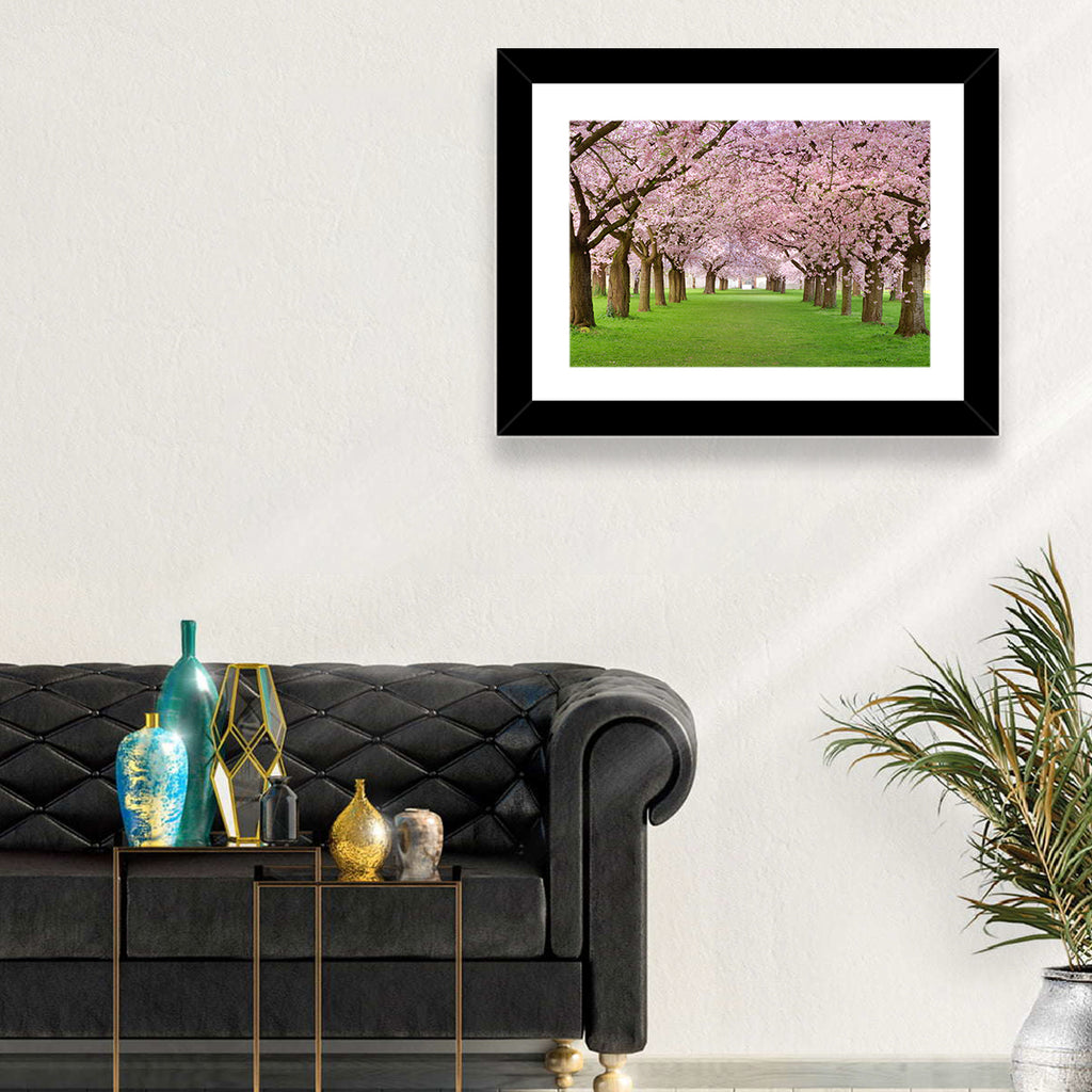 Cherry Blossom Avenue Wall Art