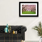 Cherry Blossom Avenue Wall Art