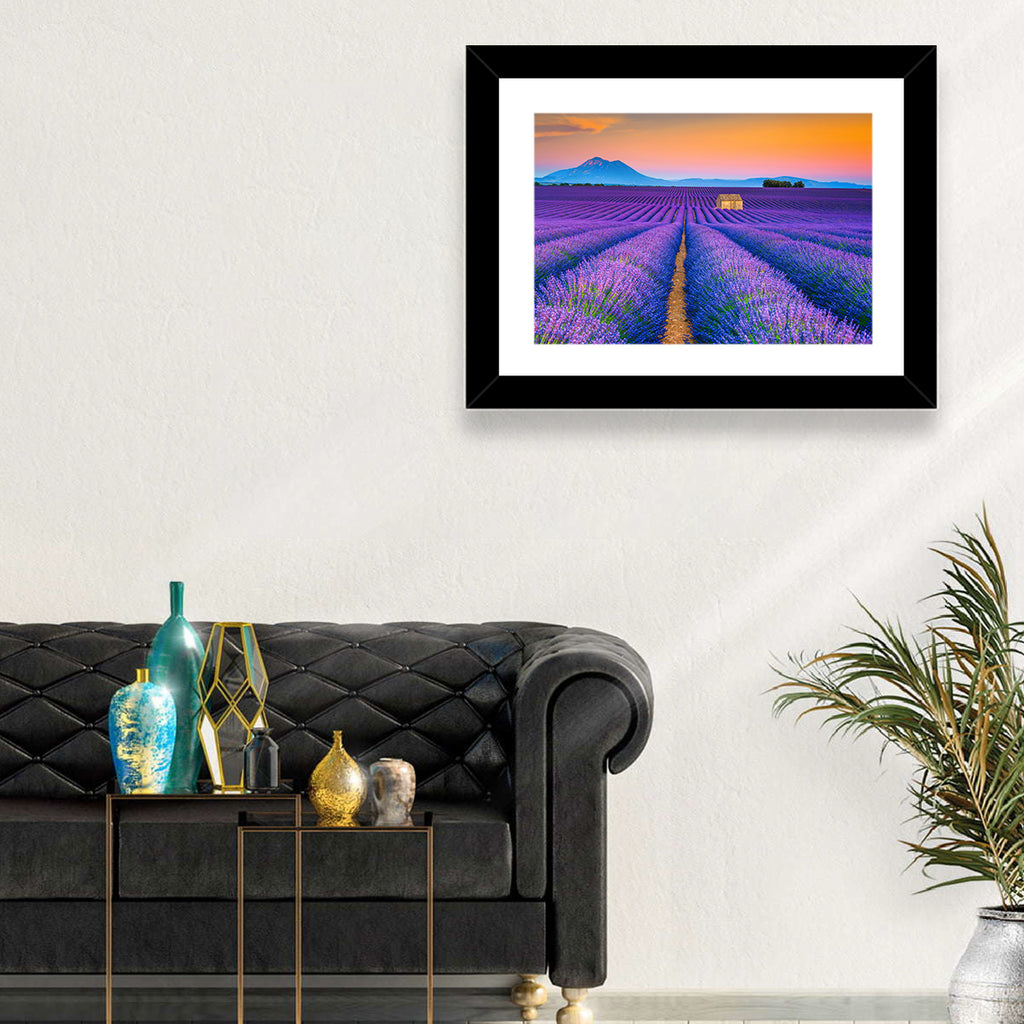 Valensole Lavender Fields at Sunset Wall Art