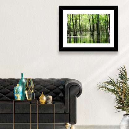 Green Swamp Forest Wall Art