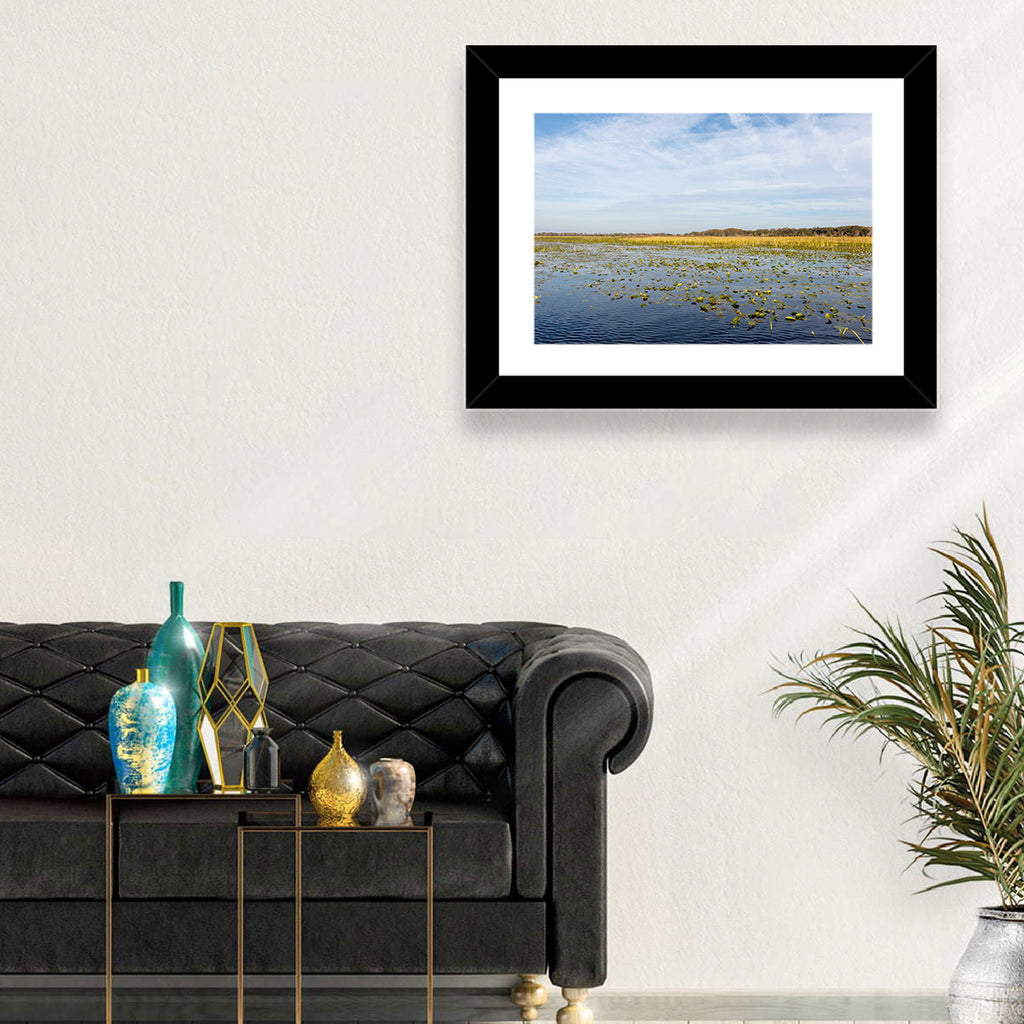 Lake Toho Lily Pads Wall Art