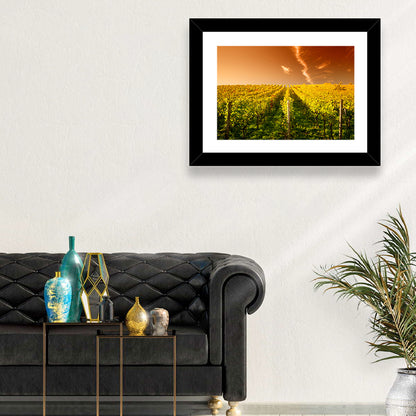 Wineyard Sunset Wall Art