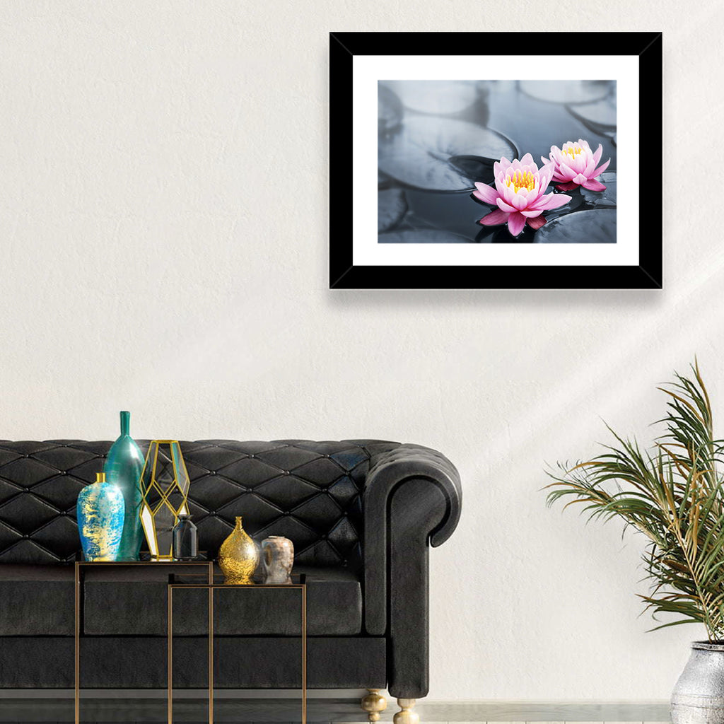 Pink Water Lilies Wall Art