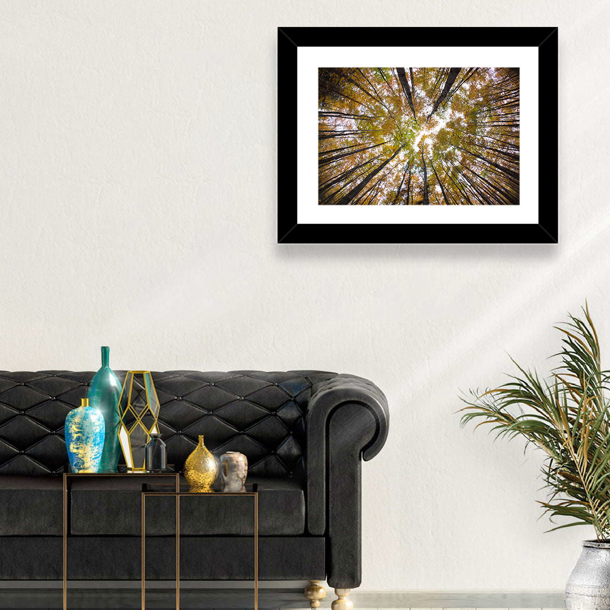 Autumn Forest Canopy Looking Up Wall Art in a room, landscape