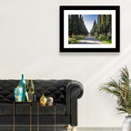 Avenue of Cypress Trees Wall Art
