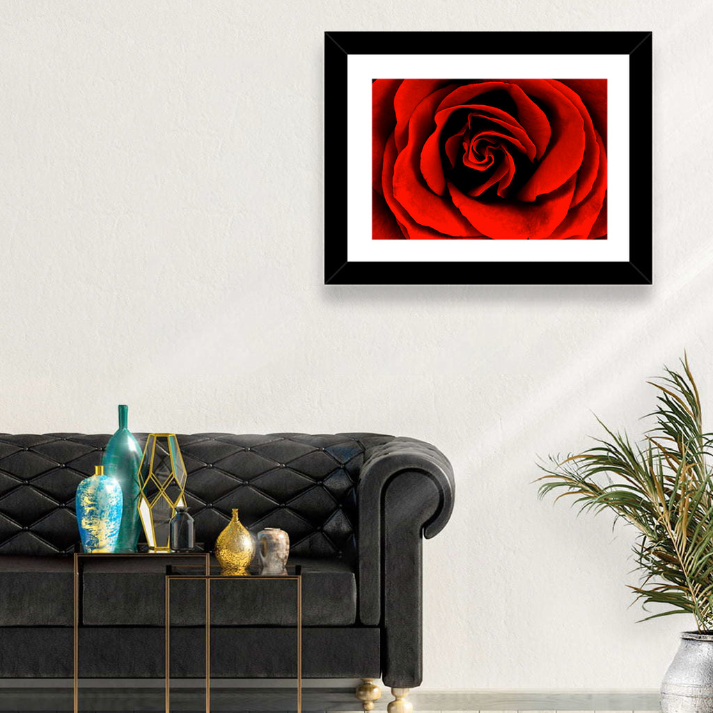 Velvety Red Rose Close-up Wall Art