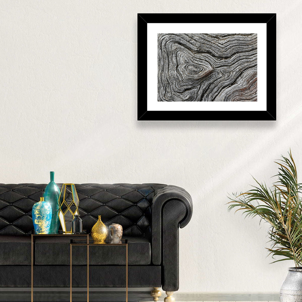 Tree Growth Rings Wall Art